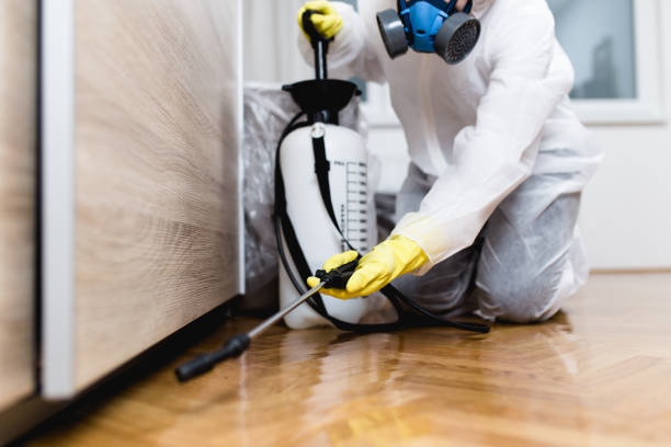 Best Termite Control Services  in Tangent, OR