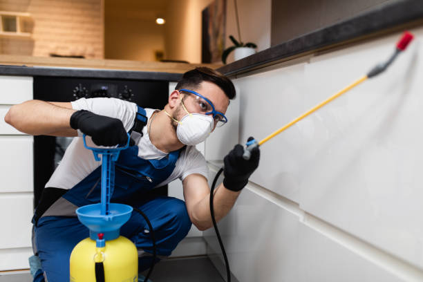 Best Best Pest Control Companies  in Tangent, OR