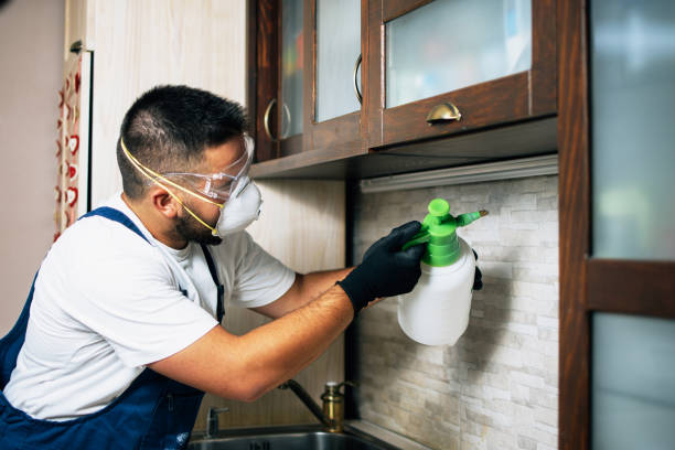 Best Exterminator Services  in Tangent, OR