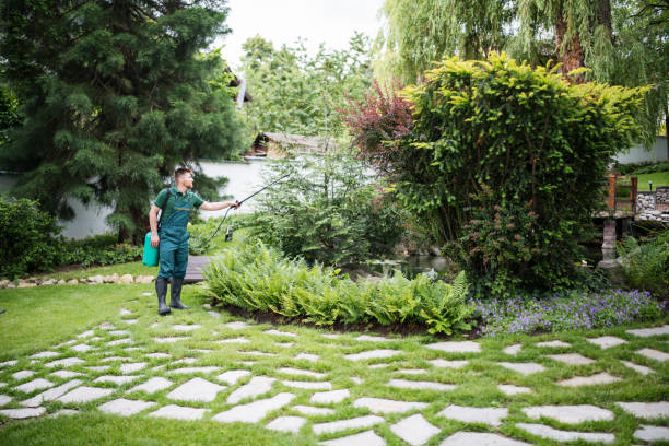 Best Ant Control Services  in Tangent, OR