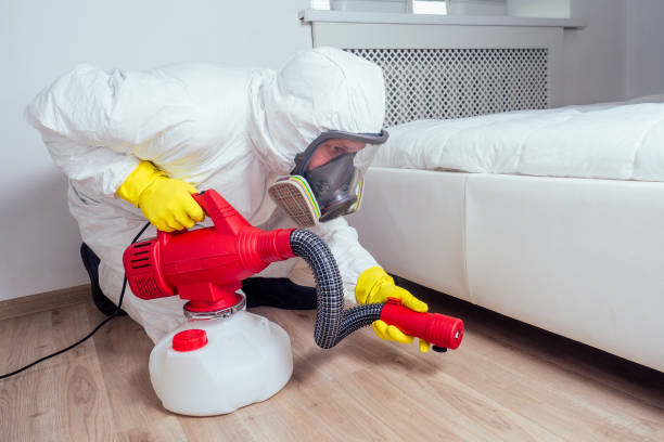 Best Pest Removal Services  in Tangent, OR