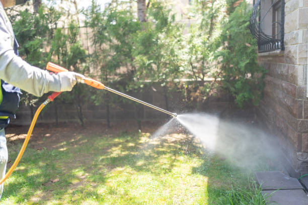Best Best Pest Control Companies  in Tangent, OR