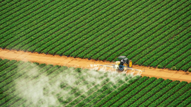 Best Ant Control Services  in Tangent, OR