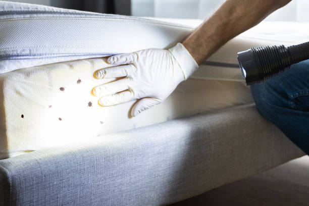 Best Commercial Pest Control Services  in Tangent, OR