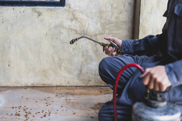 Best Pest Control Near Me  in Tangent, OR